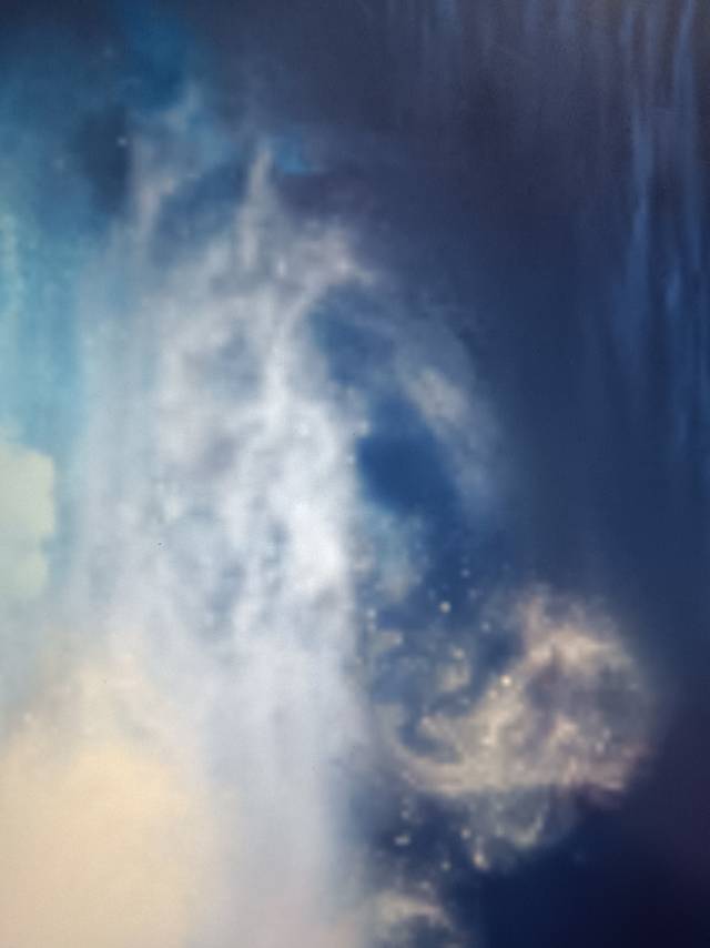 失忆后怀了渣男的崽