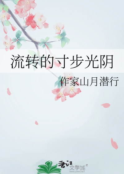 流转的寸步光阴