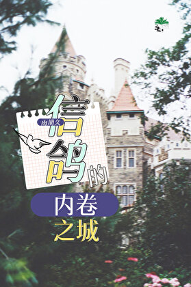 信鸽的内卷之城