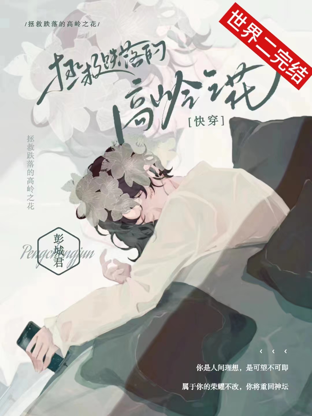 攻一把高岭之花拐回家了[快穿]