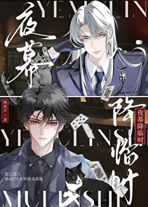 夜幕降临时【全息】